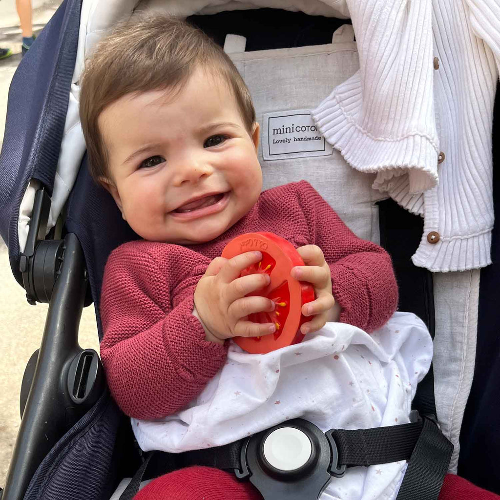 Renato the Tomato Baby Teether