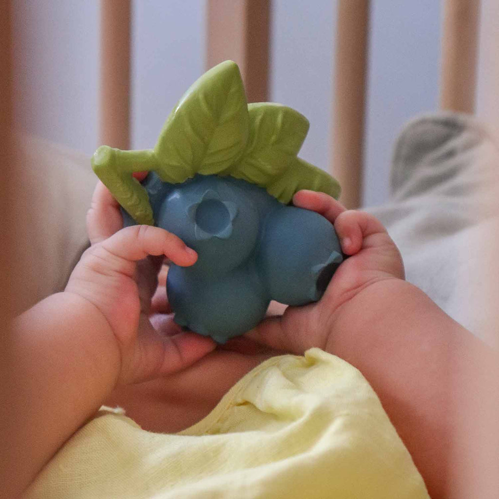 Jerry the Blueberry Baby Teether