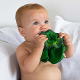 Kendall the Kale Lovey-Teether