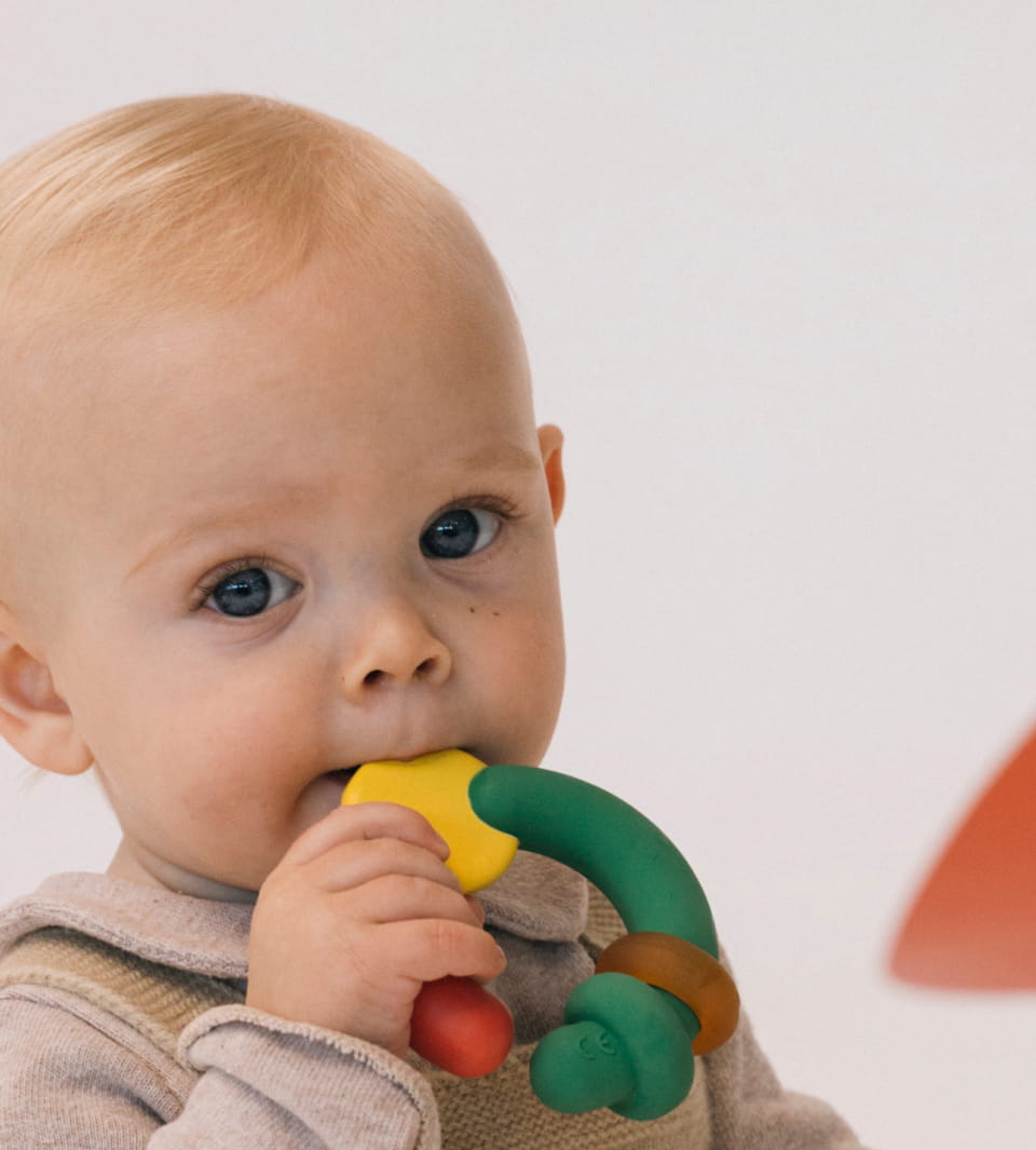 THE EVOLUTIVE TEETHER