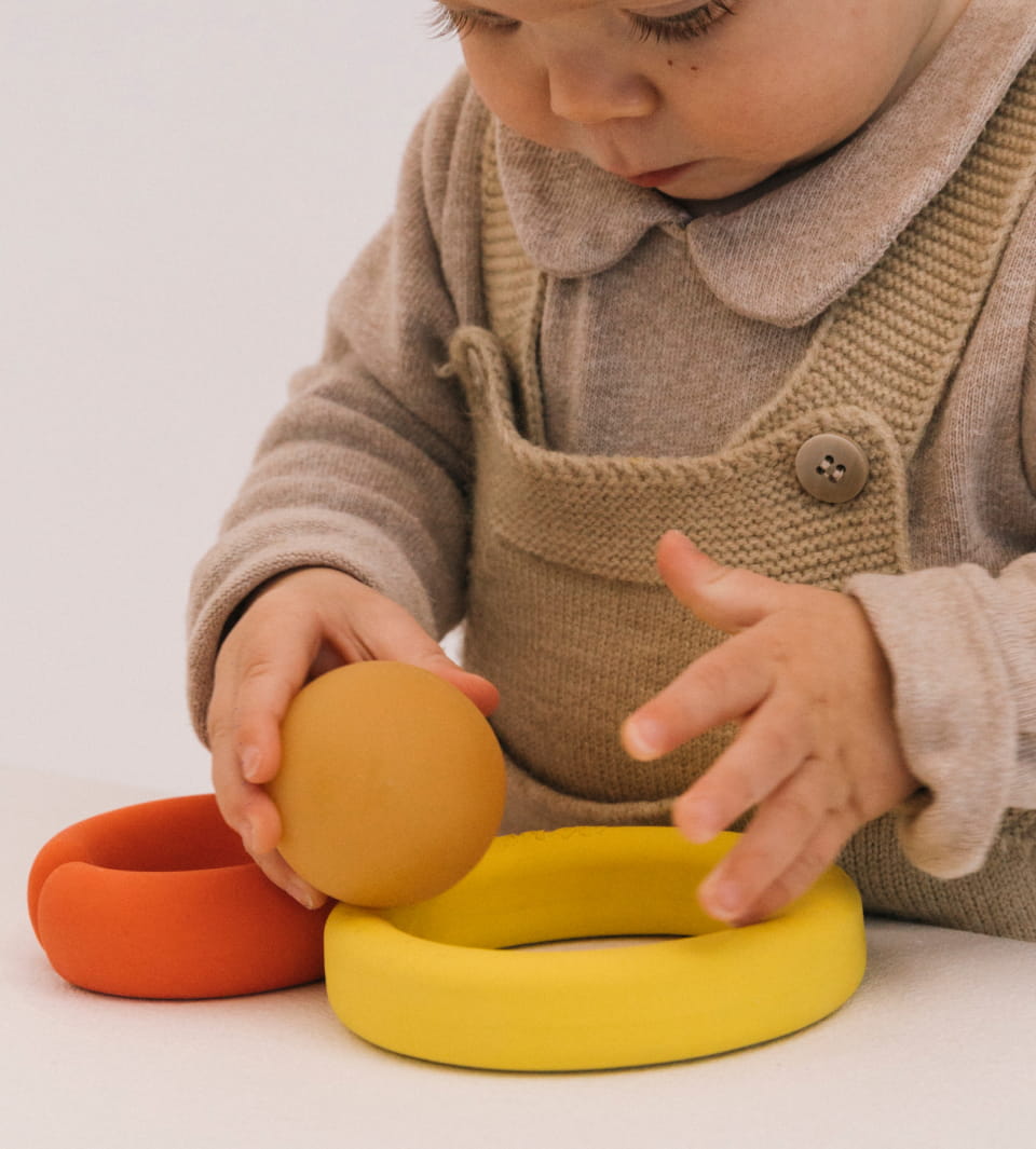 THE EVOLUTIVE TOY