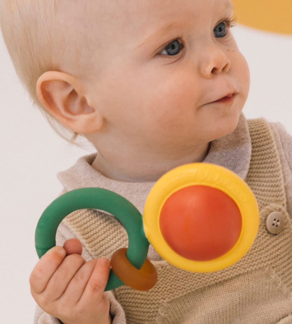 THE EVOLUTIVE RATTLE