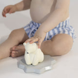 Polar Bear Bath Toy