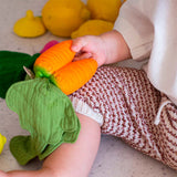 Cathy the Carrot Lovey-Teether