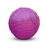 Purple Cabbage Sensory Ball