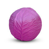 Purple Cabbage Sensory Ball