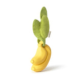 Ana Banana Pacifier Case