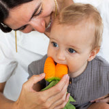 Cathy the Carrot Lovey-Teether