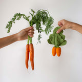 Cathy the Carrot Lovey-Teether