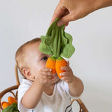 Cathy the Carrot Lovey-Teether