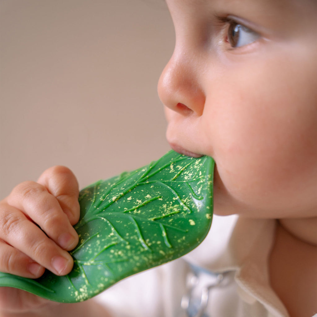 Chlorophyll Leaf Baby Teether