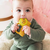 Richie Lion Baby Teether